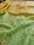 Yellow Green Dual Shade Organza Saree with Chikankari Embroidery Work