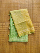 Yellow Green Dual Shade Organza Saree with Chikankari Embroidery Work