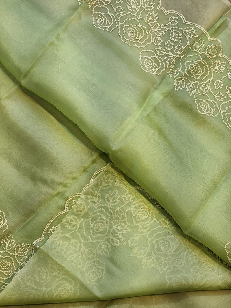 Apple Green Organza Saree with Pearl Embroidery Cutwork Scallop Border