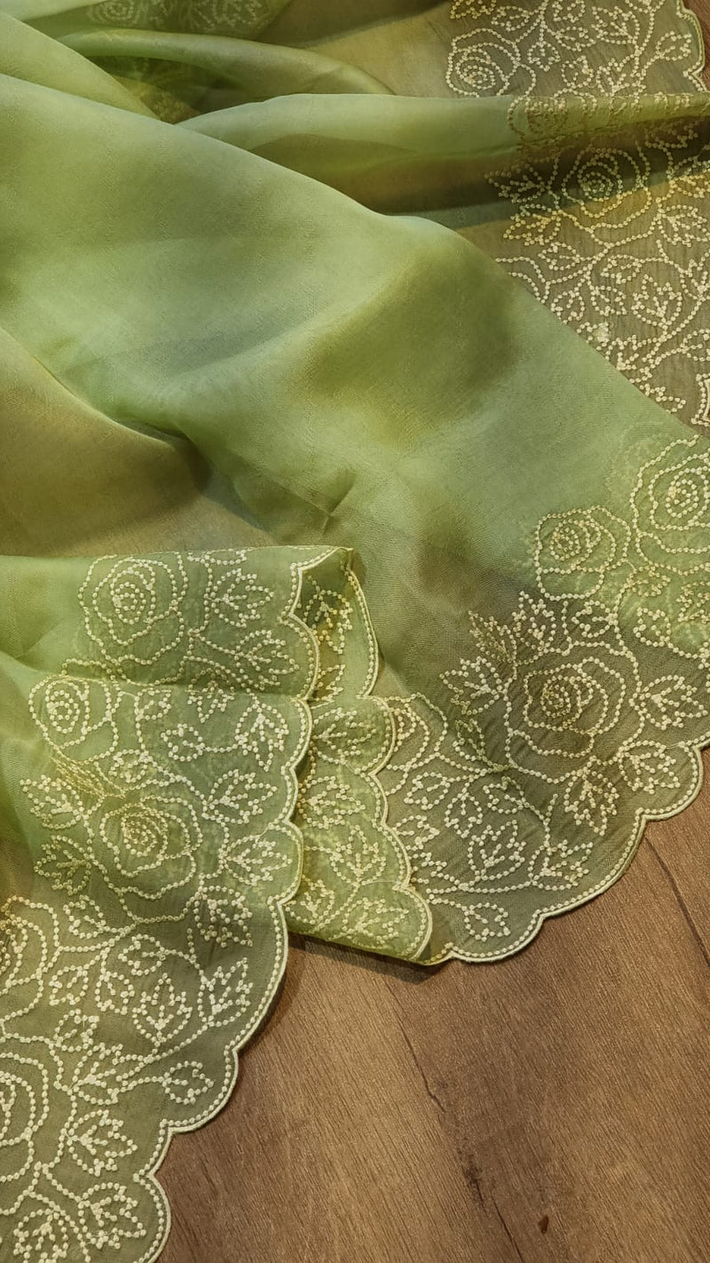 Apple Green Organza Saree with Pearl Embroidery Cutwork Scallop Border