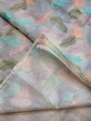 Catalogue - Unique Leaf Embroidery Design Organza Sarees with crochet Lace