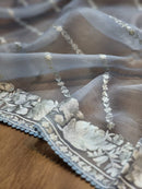 Blue Organza Saree With Parsi Gara Embroidery Border