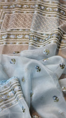 Blue Organza Saree with Embroidery Border