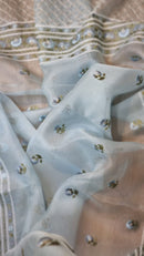 Blue Organza Saree with Embroidery Border
