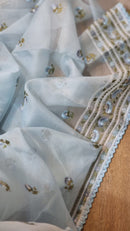Blue Organza Saree with Embroidery Border