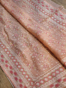 Organza Saree with Chikankari Embroidery Work & Crochet Lace
