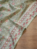 Pistha Green Organza Saree with Chikankari Embroidery Work & Crochet Lace