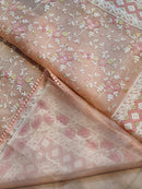 Peach Pink Organza Saree with Chikankari Embroidery Work & Crochet Lace