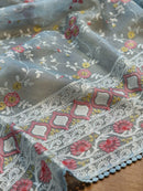 Pastel Blue Organza Saree with Chikankari Embroidery Work & Crochet Lace