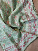 Pistha Green Organza Saree with Chikankari Embroidery Work & Crochet Lace