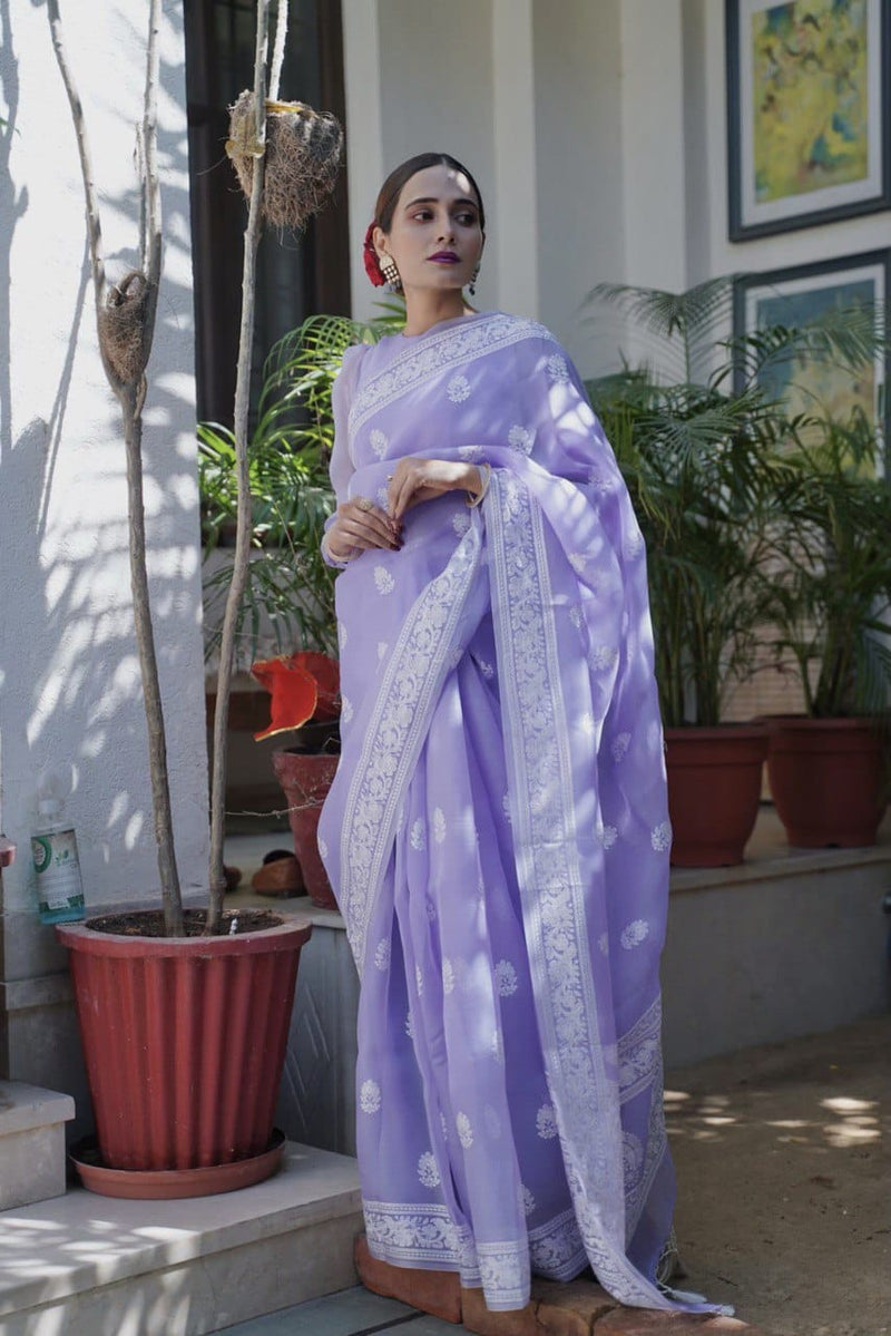 Lavendar Organza Saree with Chikankari Embroidery Work