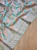 Blue Organza Saree with Leaf Embroidery Design